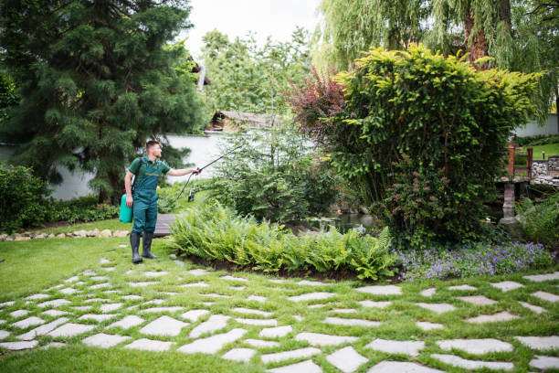 Reliable Pittsfield, IL Pest Control Solutions