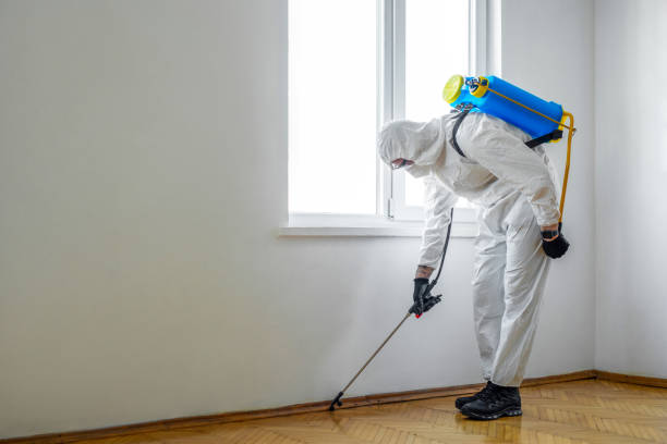 Best Pest Control Near Me  in Pittsfield, IL