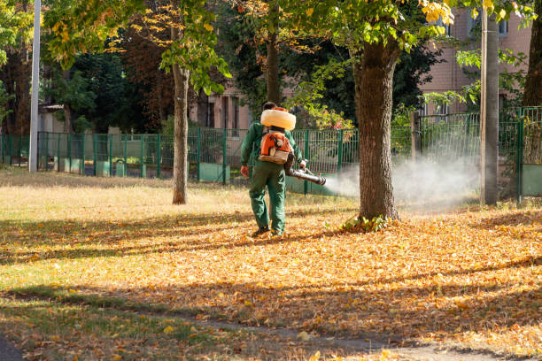 Best Exterminator Services  in Pittsfield, IL