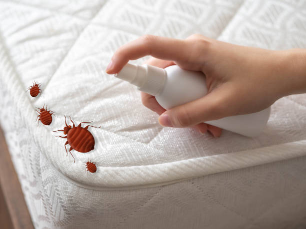Best Affordable Pest Control Services  in Pittsfield, IL