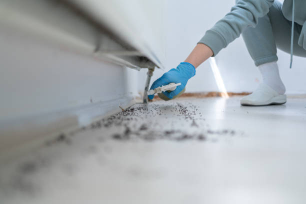 Best Wasp Removal Services  in Pittsfield, IL