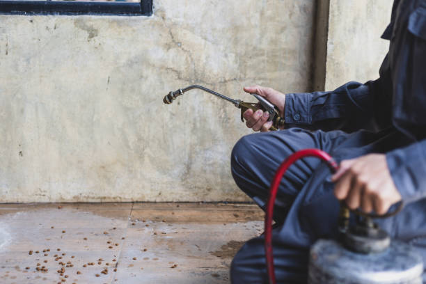 Wasp Removal Services in Pittsfield, IL